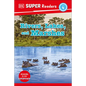 DK Super Readers Level 4 Rivers, Lakes, and Marshes - Hardcover