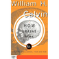 How Brains Think: Evolving Intelligence, Then and Now - Paperback