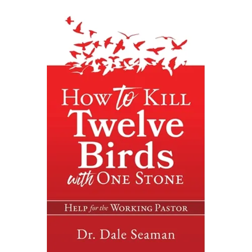 How to Kill Twelve Birds with One Stone: Help for the Working Pastor - Paperback