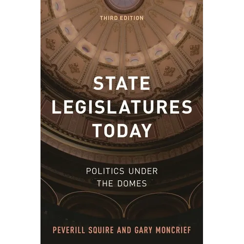 State Legislatures Today: Politics under the Domes - Paperback