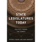 State Legislatures Today: Politics under the Domes - Paperback