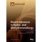 Recent Advances in Hydro- and Biohydrometallurgy - Paperback