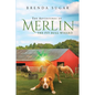 The Adventures of Merlin the Pit Bull Wizard - Paperback