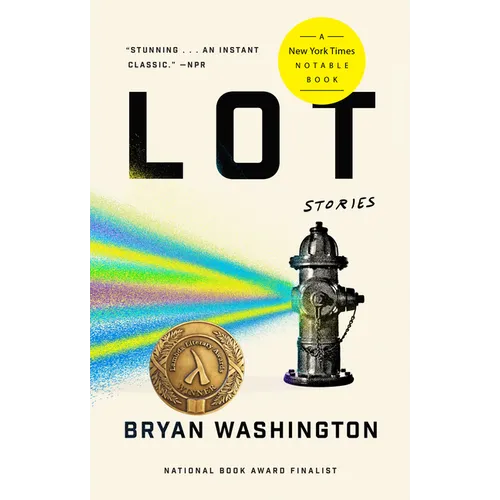 Lot: Stories - Paperback