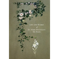 The Life and Works of St. Mary Magdalen de Pazzi - Hardcover