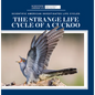 The Strange Life Cycle of a Cuckoo - Library Binding