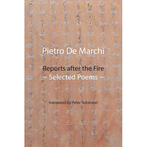 Reports after the Fire: Selected Poems - Paperback