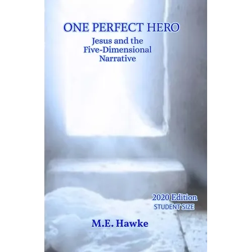 One Perfect Hero: Jesus and the Five-Dimensional Narrative - Paperback