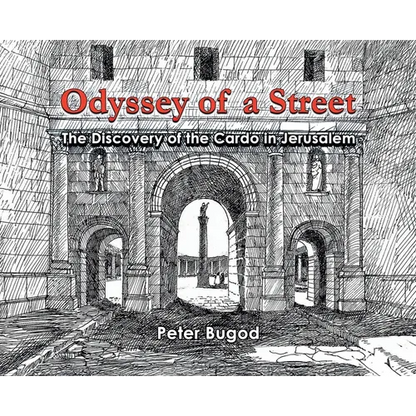 Odyssey of a Street - Hardcover