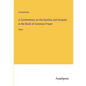 A Commentary on the Epistles and Gospels in the Book of Common Prayer: Part I - Paperback