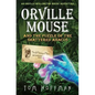 Orville Mouse and the Puzzle of the Shattered Abacus - Paperback
