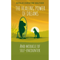 The Healing Power of Dreams: And miracle of self-encounter - Paperback
