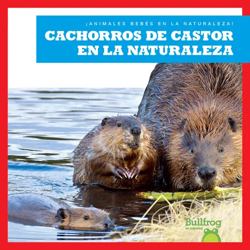 Cachorros de Castor En La Naturaleza (Beaver Kits in the Wild) - Paperback