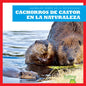 Cachorros de Castor En La Naturaleza (Beaver Kits in the Wild) - Paperback