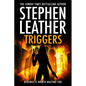 Triggers: Revenge Is Worth Waiting For - Paperback
