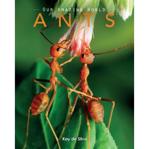 Ants: Amazing Pictures & Fun Facts on Animals in Nature - Paperback