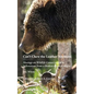 Can't Chew the Leather Anymore: Musings on Wildlife Conservation in Yellowstone from a Broken-down Biologist - Paperback