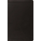 ESV Value Thinline Bible, Red Letter (Trutone, Black) - Imitation Leather