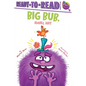 Big Bub, Small Hat: Ready-To-Read Ready-To-Go! - Hardcover