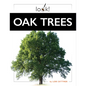 Oak Trees - Hardcover