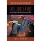 Lady Liberty Weeps: A Dream Disenchanted - Paperback