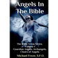 Angels In The Bible The Bible Trivia Series - Paperback