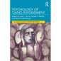 Psychology of Gang Involvement - Paperback