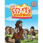 The Spark Story Bible: Spark a Journey Through God's Word, Family Edition - Hardcover