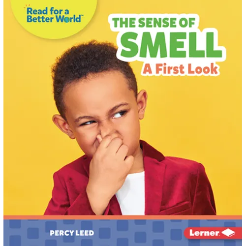 The Sense of Smell: A First Look - Paperback