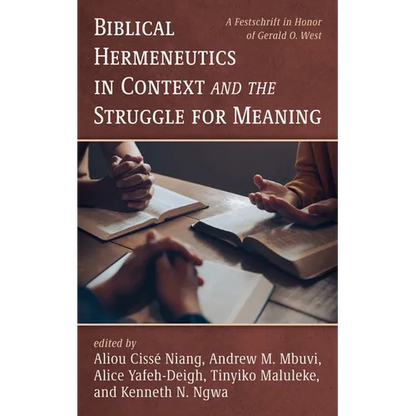 Biblical Hermeneutics in Context and the Struggle for Meaning - Paperback