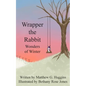 Wrapper the Rabbit: Wonders of Winter - Paperback