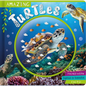 Amazing Turtles - Board Book