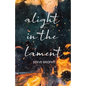 alight in the lament - Paperback