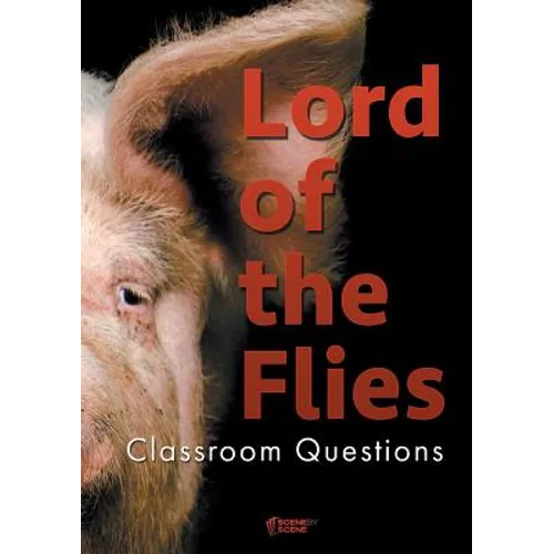 Lord of the Flies Classroom Questions - Paperback