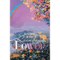 In Search of the Rainbow Power - Paperback