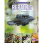 Reptiles - Paperback