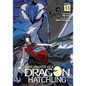 Reincarnated as a Dragon Hatchling (Light Novel) Vol. 13 - Paperback