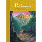 Pathways to Higher Consciousness - Paperback
