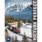 Trains: Picture Perfect Photo Book - Paperback