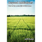 Beyond Addictions: Free to Live a New Live in Christ Jesus - Paperback