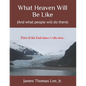 What Heaven Will Be Like - Paperback