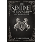 The Sentinel of Cassendar: The High Captain - Paperback