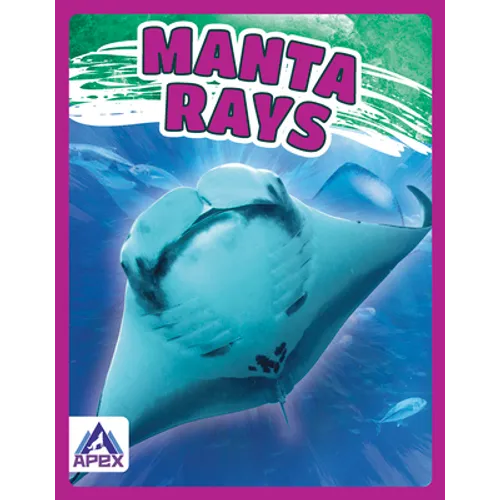 Manta Rays - Paperback