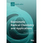 Biomimetic Radical Chemistry and Applications - Paperback