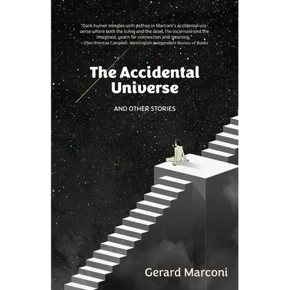 The Accidental Universe and Other Stories - Paperback