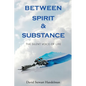 Between Spirit and Substance: The Silent Voice of Life - Paperback