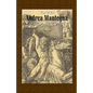 Andrea Mantegna: Drawings in Close Up - Paperback