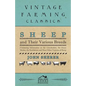 Sheep and Their Various Breeds - Containing Information on the Lincolnshire, the Saxon Merino, the Southdown and Many Other Varieties of Sheep - Paperback