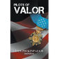 Pilots of Valor - Paperback