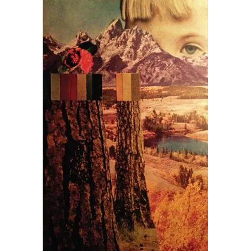 Careful Mountain - Paperback